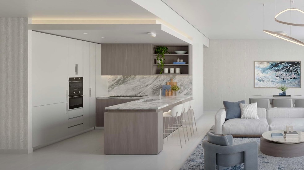 Kitchen and living